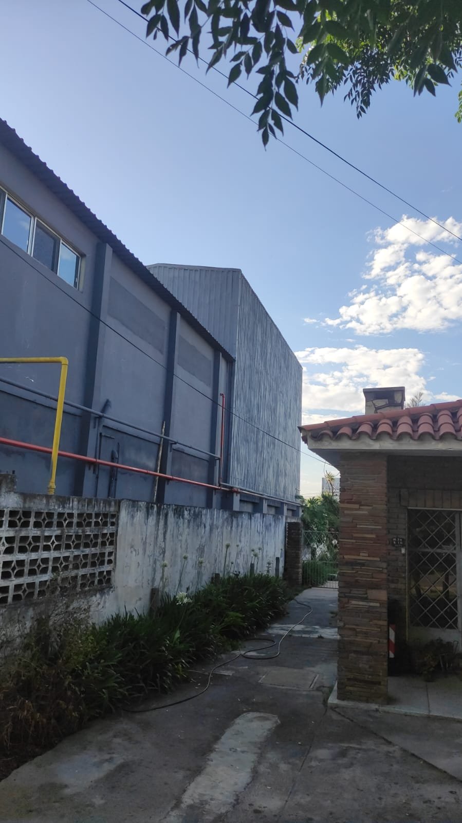 Poliuretano expandido Contenedores